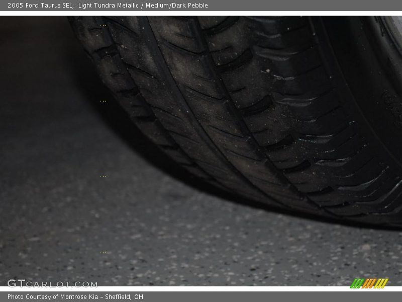 Light Tundra Metallic / Medium/Dark Pebble 2005 Ford Taurus SEL