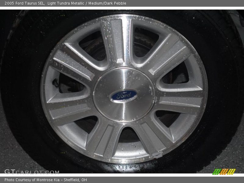Light Tundra Metallic / Medium/Dark Pebble 2005 Ford Taurus SEL