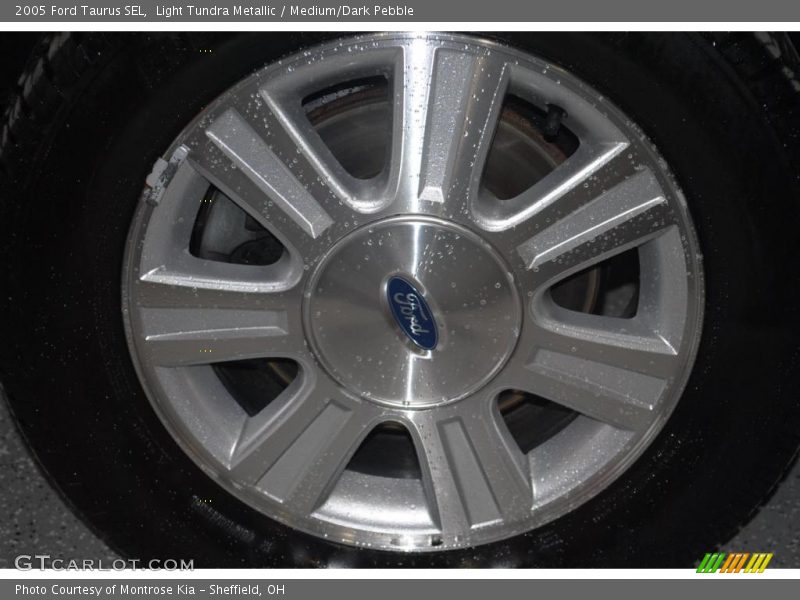 Light Tundra Metallic / Medium/Dark Pebble 2005 Ford Taurus SEL
