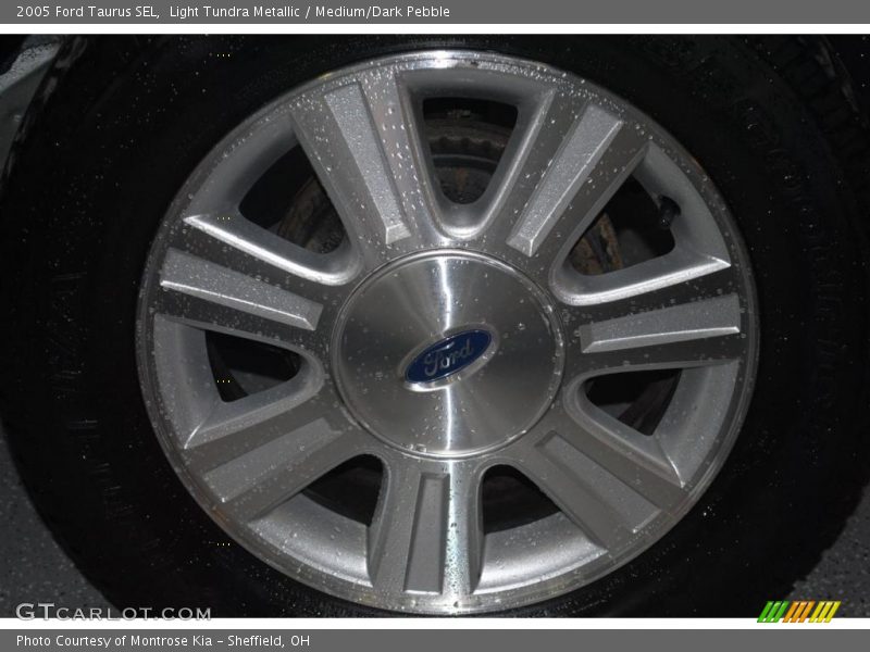 Light Tundra Metallic / Medium/Dark Pebble 2005 Ford Taurus SEL