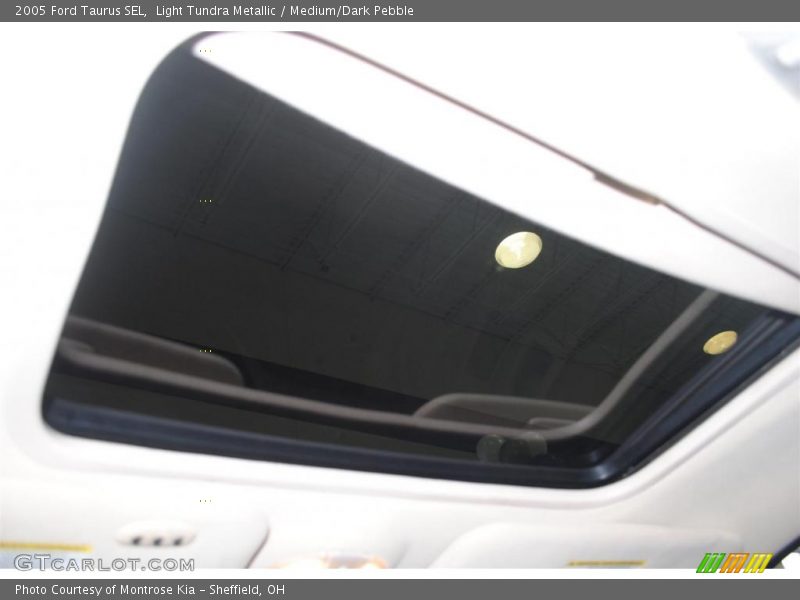 Light Tundra Metallic / Medium/Dark Pebble 2005 Ford Taurus SEL