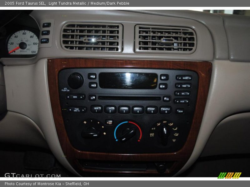 Light Tundra Metallic / Medium/Dark Pebble 2005 Ford Taurus SEL