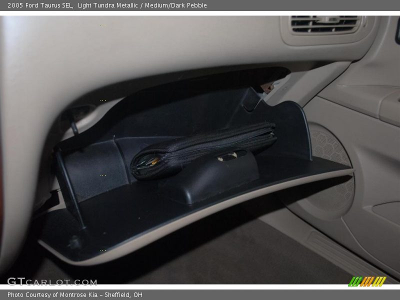 Light Tundra Metallic / Medium/Dark Pebble 2005 Ford Taurus SEL