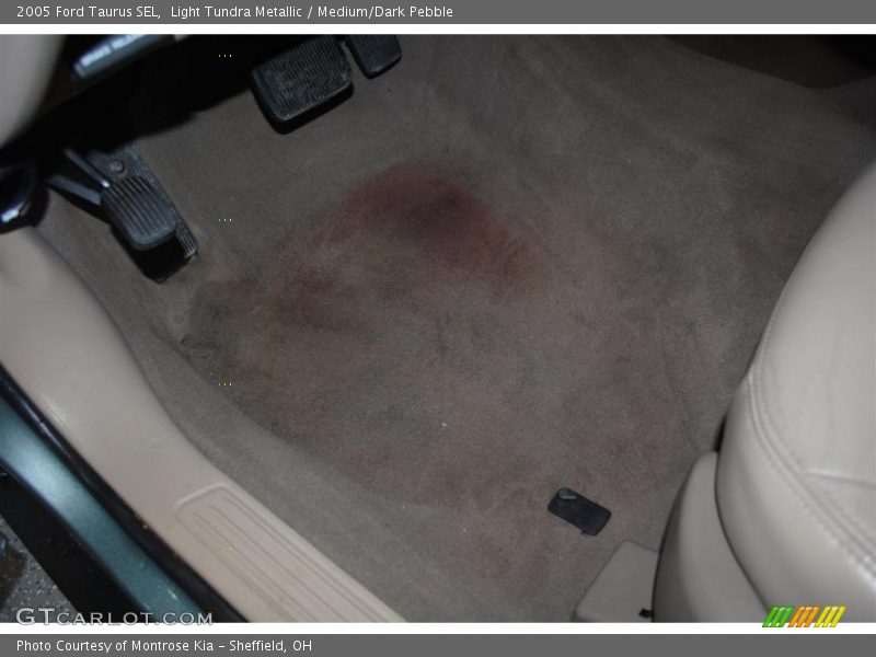 Light Tundra Metallic / Medium/Dark Pebble 2005 Ford Taurus SEL
