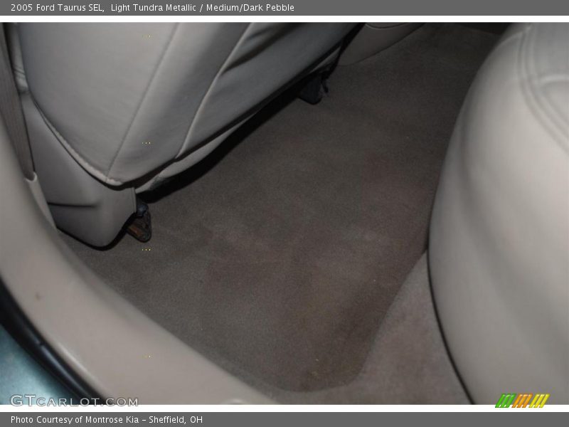 Light Tundra Metallic / Medium/Dark Pebble 2005 Ford Taurus SEL