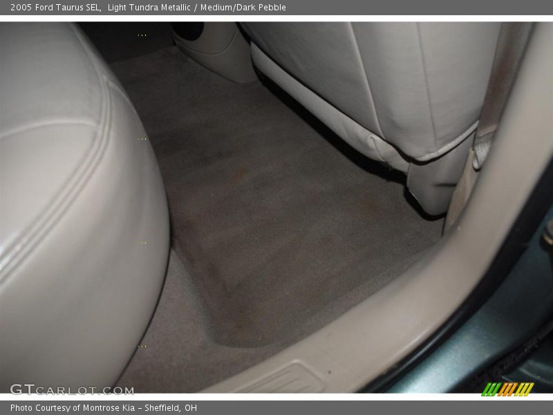 Light Tundra Metallic / Medium/Dark Pebble 2005 Ford Taurus SEL