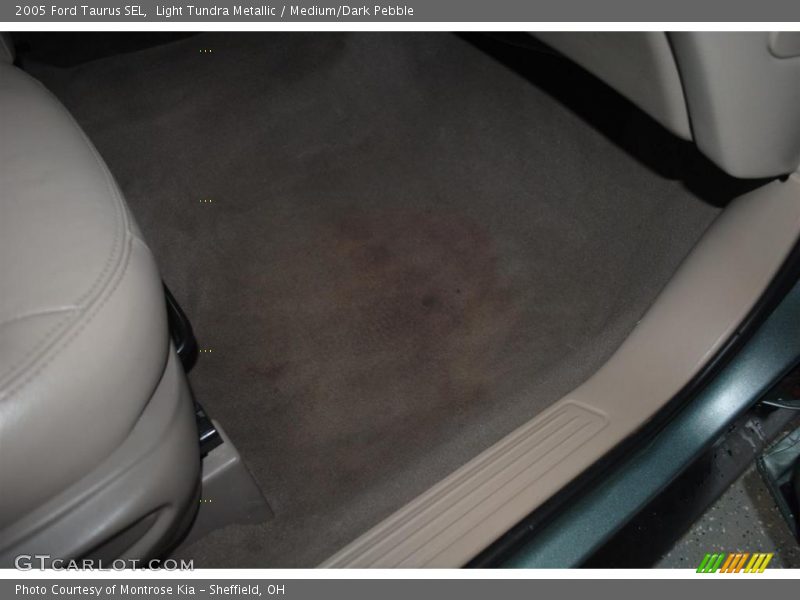 Light Tundra Metallic / Medium/Dark Pebble 2005 Ford Taurus SEL
