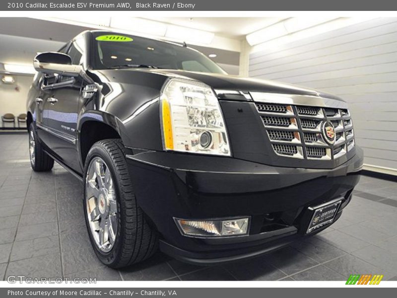 Black Raven / Ebony 2010 Cadillac Escalade ESV Premium AWD
