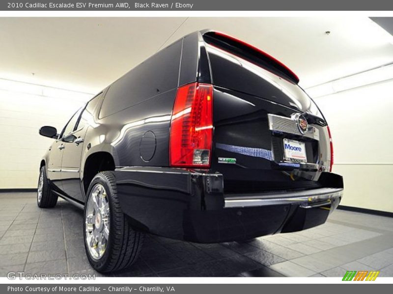 Black Raven / Ebony 2010 Cadillac Escalade ESV Premium AWD