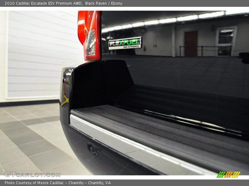 Black Raven / Ebony 2010 Cadillac Escalade ESV Premium AWD
