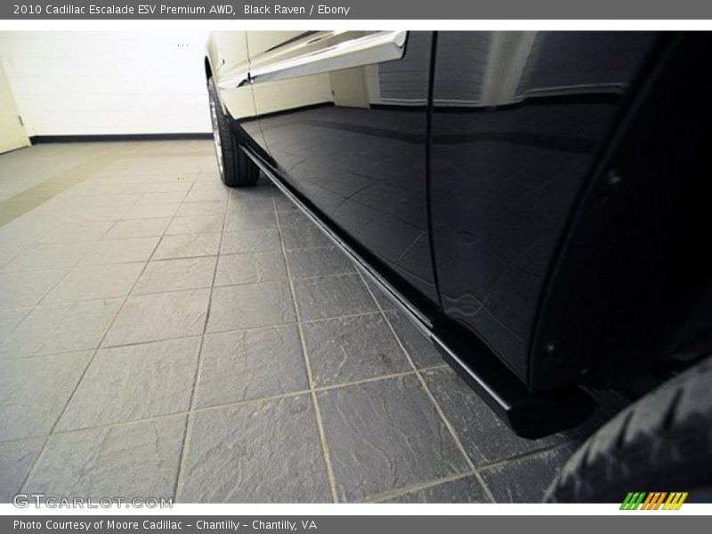 Black Raven / Ebony 2010 Cadillac Escalade ESV Premium AWD