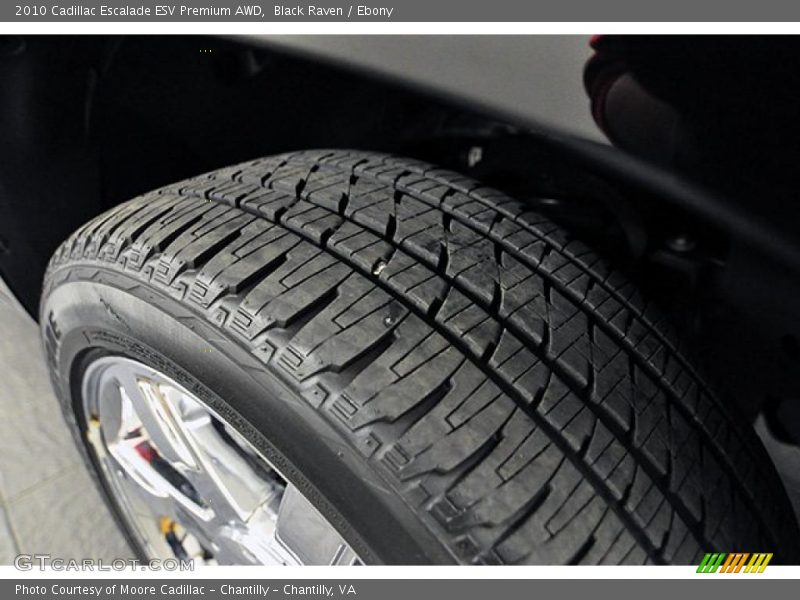 Black Raven / Ebony 2010 Cadillac Escalade ESV Premium AWD
