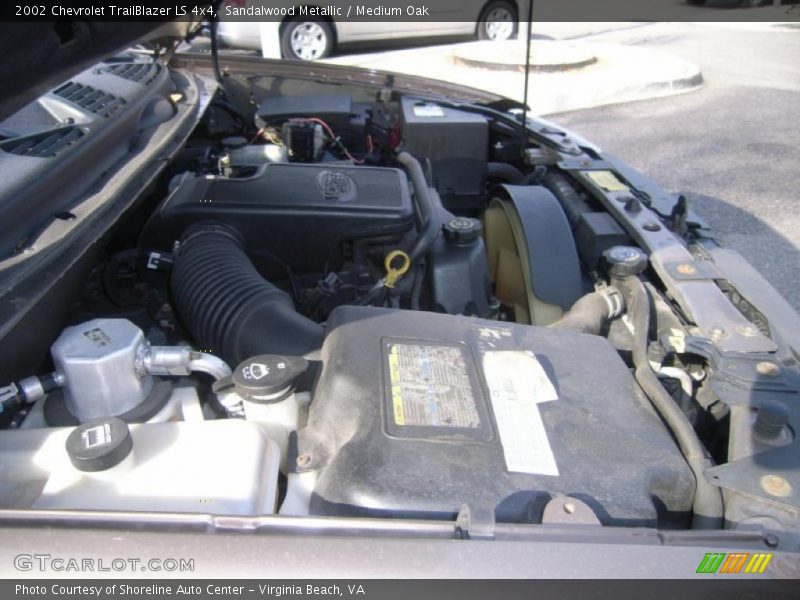 Sandalwood Metallic / Medium Oak 2002 Chevrolet TrailBlazer LS 4x4