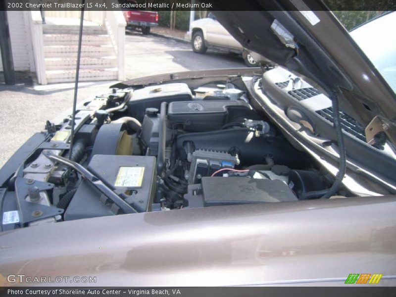 Sandalwood Metallic / Medium Oak 2002 Chevrolet TrailBlazer LS 4x4