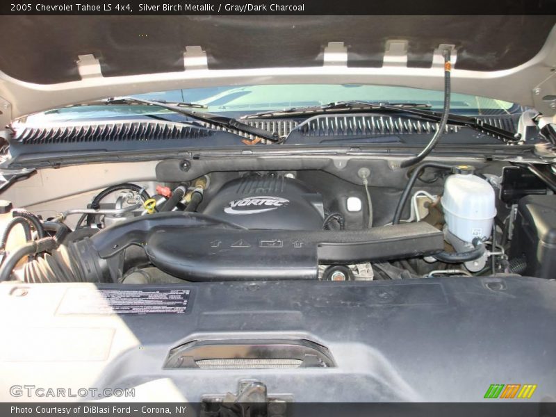 Silver Birch Metallic / Gray/Dark Charcoal 2005 Chevrolet Tahoe LS 4x4
