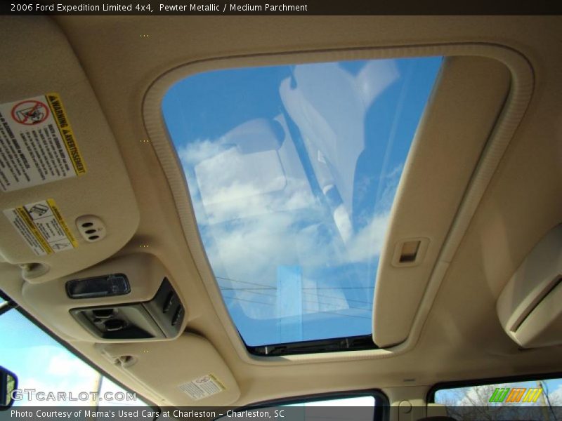 Pewter Metallic / Medium Parchment 2006 Ford Expedition Limited 4x4