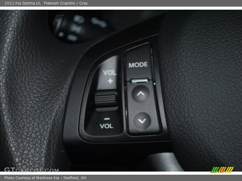 Platinum Graphite / Gray 2011 Kia Optima LX