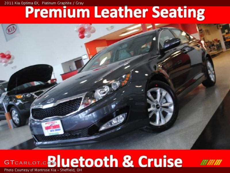 Platinum Graphite / Gray 2011 Kia Optima EX
