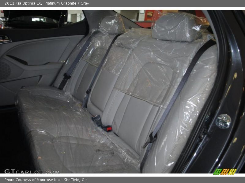 Platinum Graphite / Gray 2011 Kia Optima EX