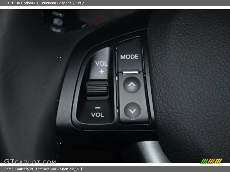 Platinum Graphite / Gray 2011 Kia Optima EX