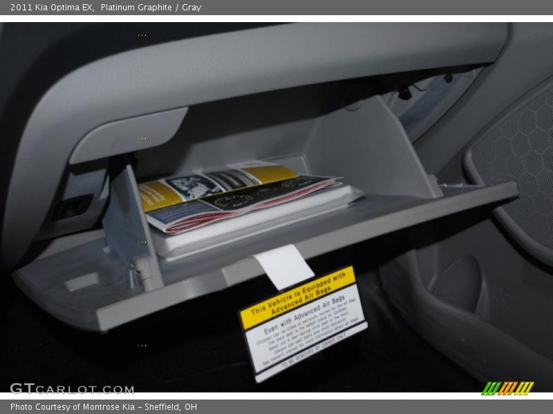 Platinum Graphite / Gray 2011 Kia Optima EX