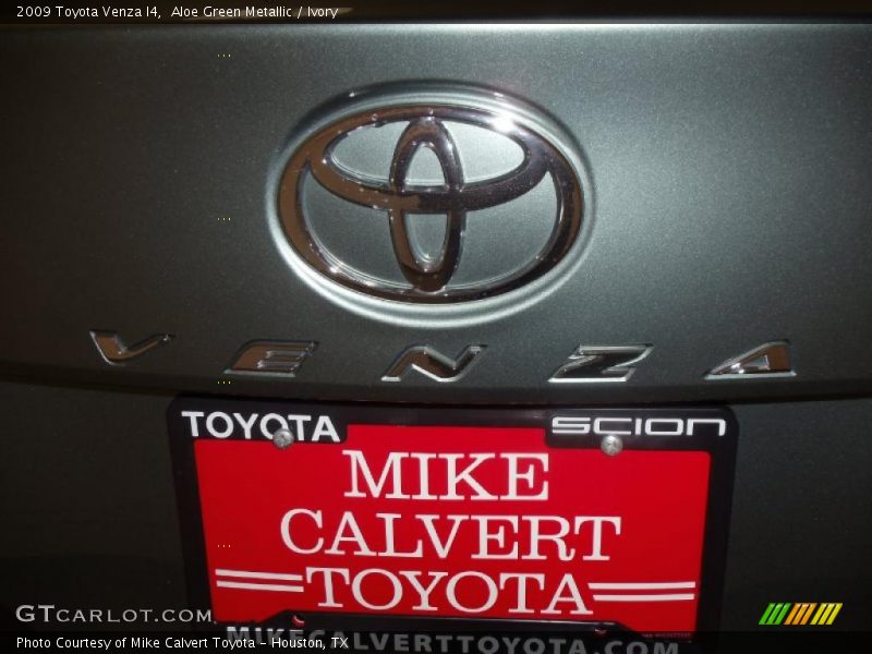 Aloe Green Metallic / Ivory 2009 Toyota Venza I4
