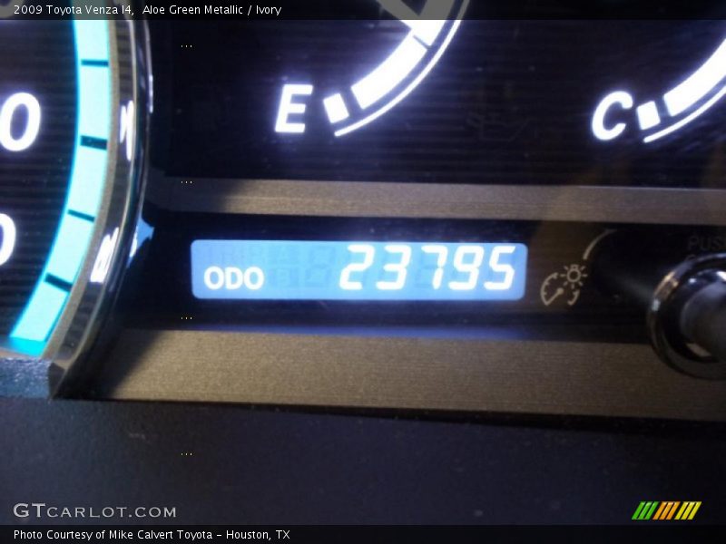 Aloe Green Metallic / Ivory 2009 Toyota Venza I4