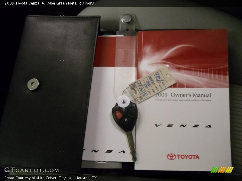 Aloe Green Metallic / Ivory 2009 Toyota Venza I4