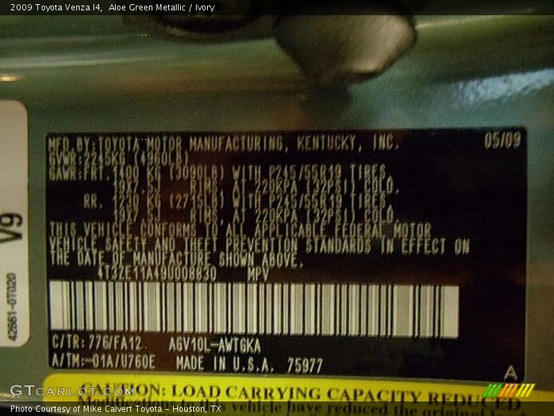 Aloe Green Metallic / Ivory 2009 Toyota Venza I4