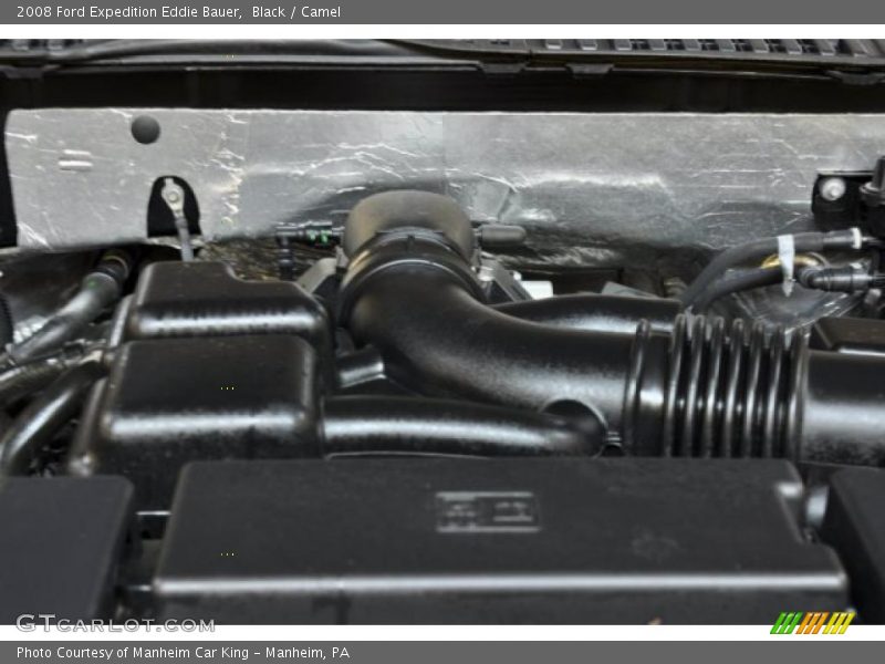 Black / Camel 2008 Ford Expedition Eddie Bauer