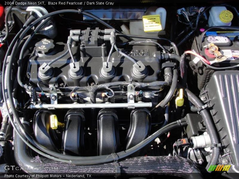 Blaze Red Pearlcoat / Dark Slate Gray 2004 Dodge Neon SXT
