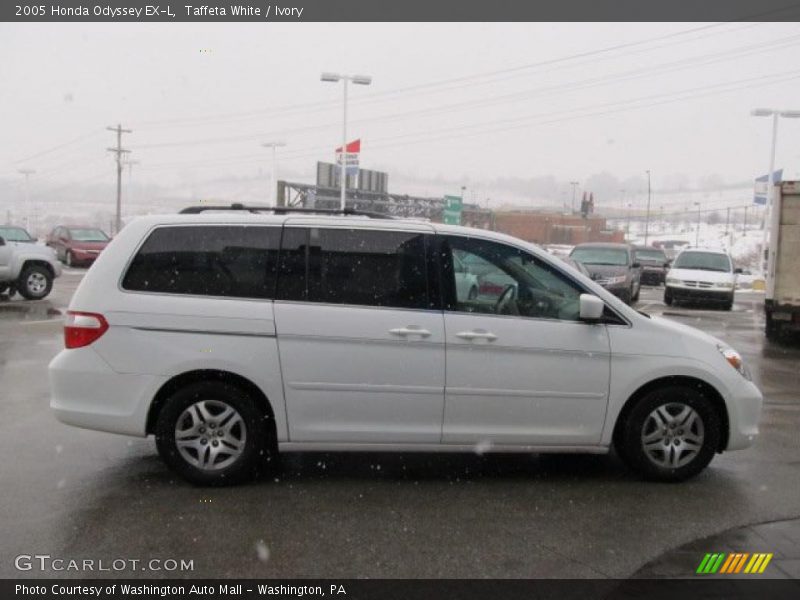 Taffeta White / Ivory 2005 Honda Odyssey EX-L