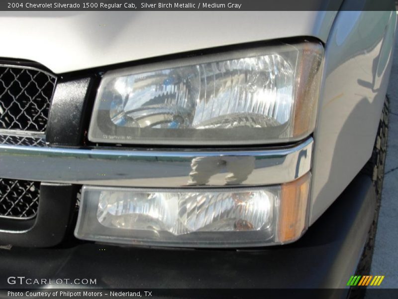 Silver Birch Metallic / Medium Gray 2004 Chevrolet Silverado 1500 Regular Cab