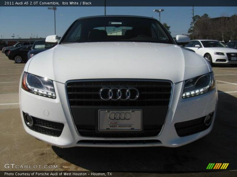 Ibis White / Black 2011 Audi A5 2.0T Convertible