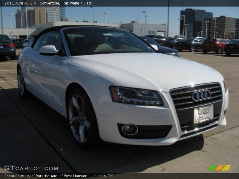 Ibis White / Black 2011 Audi A5 2.0T Convertible
