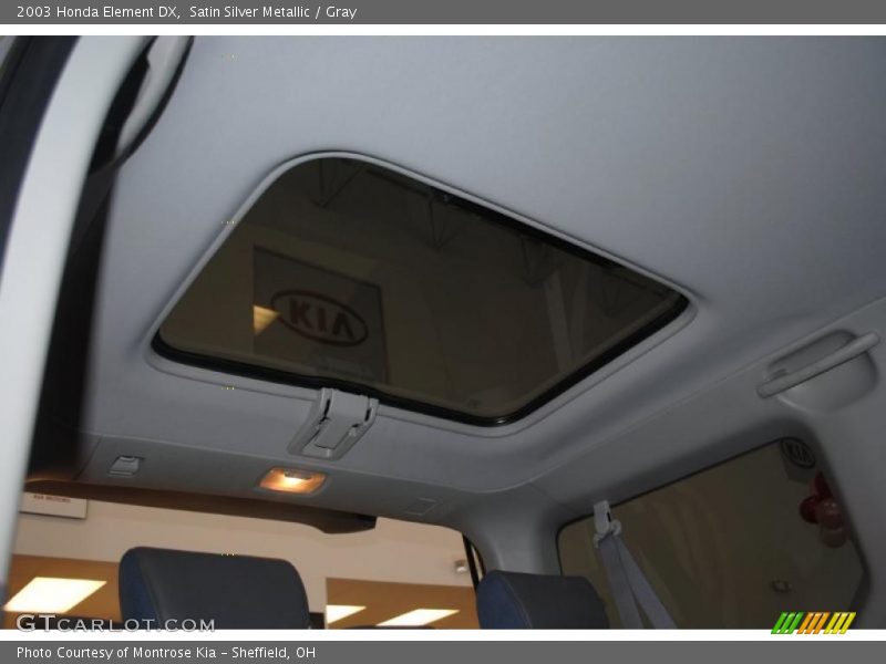 Satin Silver Metallic / Gray 2003 Honda Element DX