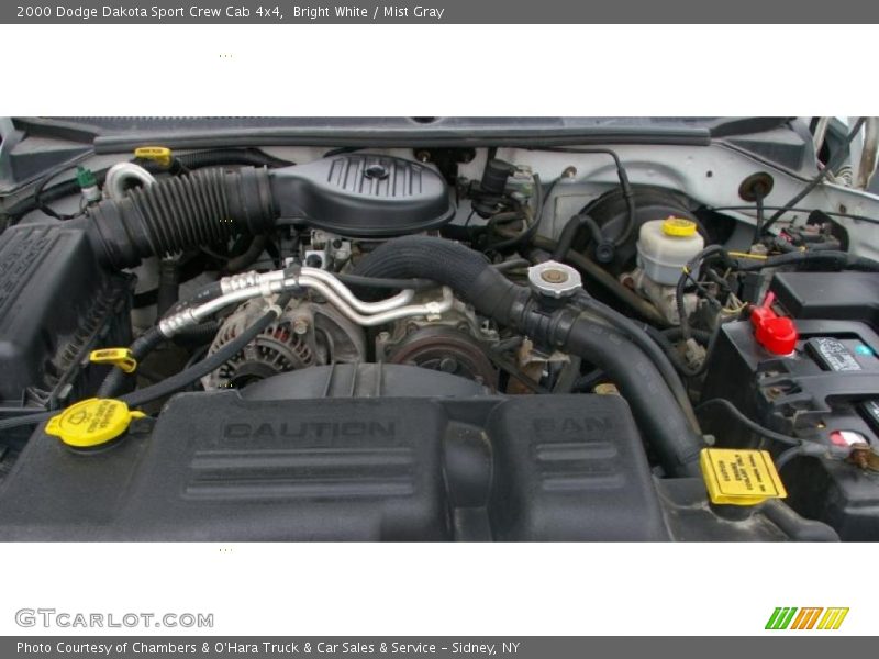 Bright White / Mist Gray 2000 Dodge Dakota Sport Crew Cab 4x4