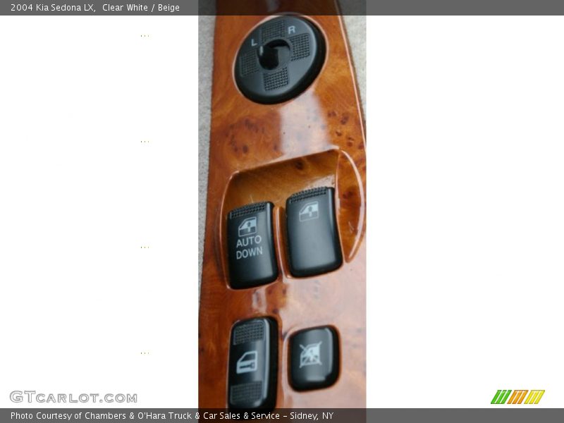 Clear White / Beige 2004 Kia Sedona LX