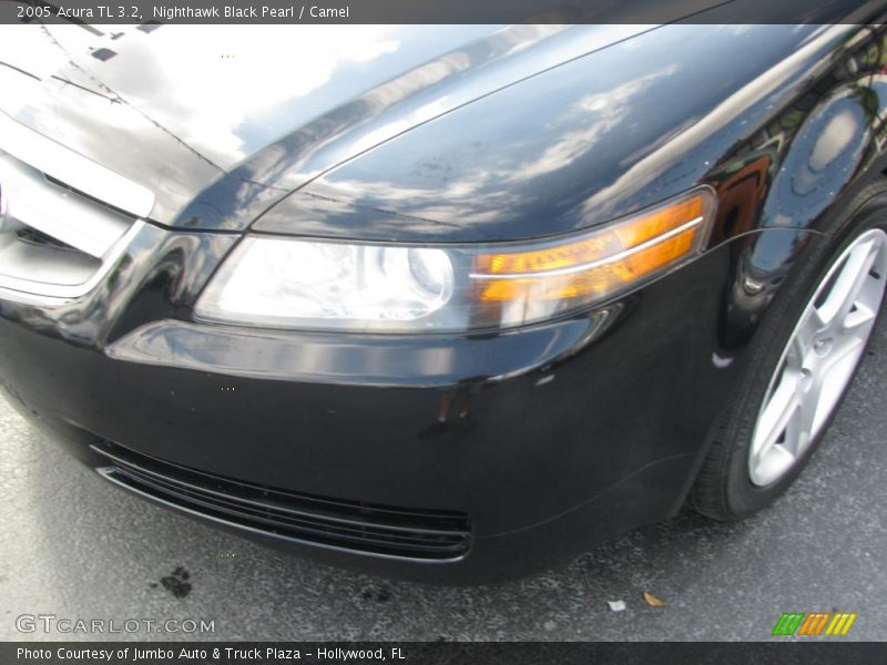 Nighthawk Black Pearl / Camel 2005 Acura TL 3.2