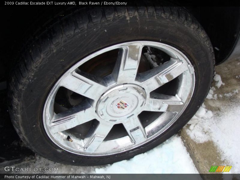 Black Raven / Ebony/Ebony 2009 Cadillac Escalade EXT Luxury AWD
