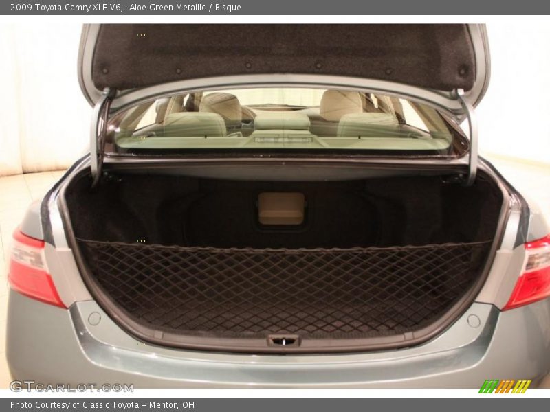 Aloe Green Metallic / Bisque 2009 Toyota Camry XLE V6