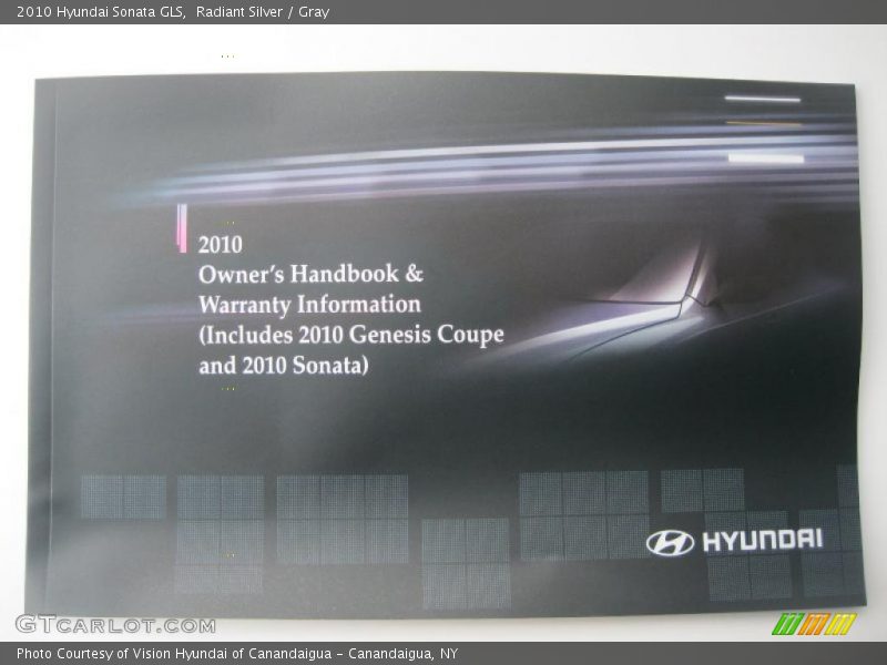 Radiant Silver / Gray 2010 Hyundai Sonata GLS