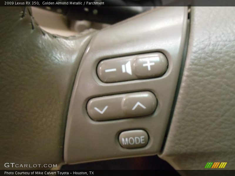 Golden Almond Metallic / Parchment 2009 Lexus RX 350