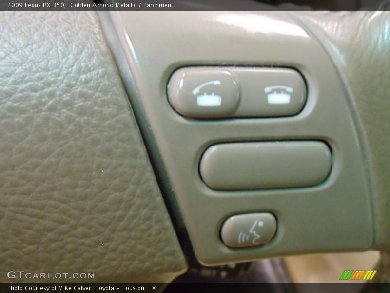 Golden Almond Metallic / Parchment 2009 Lexus RX 350