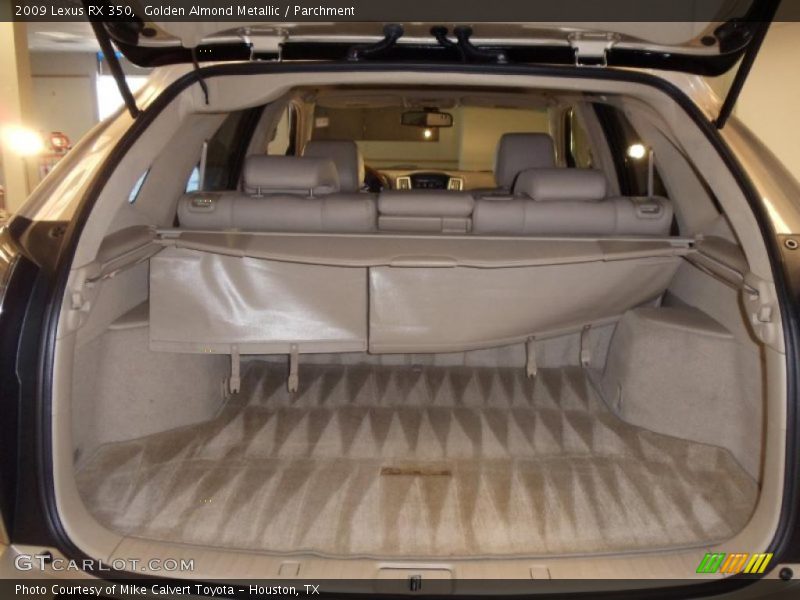  2009 RX 350 Trunk