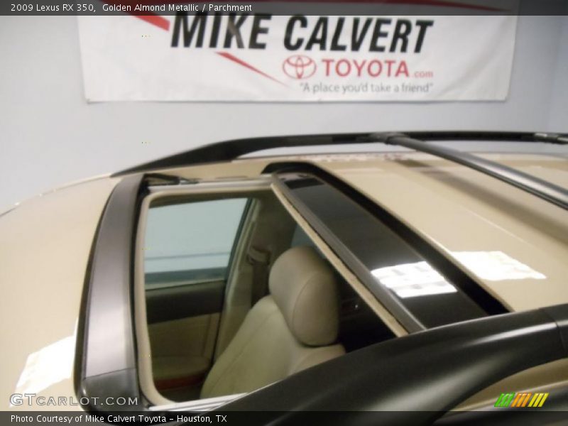 Golden Almond Metallic / Parchment 2009 Lexus RX 350