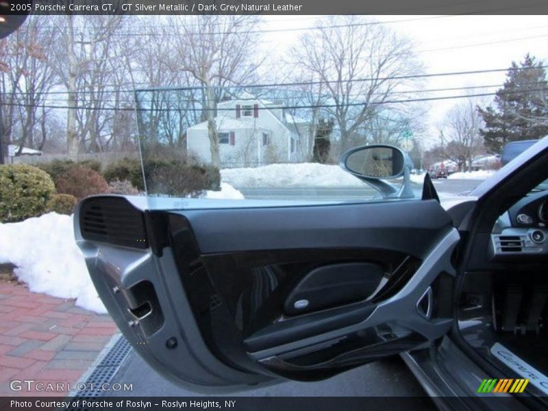 Door Panel of 2005 Carrera GT 