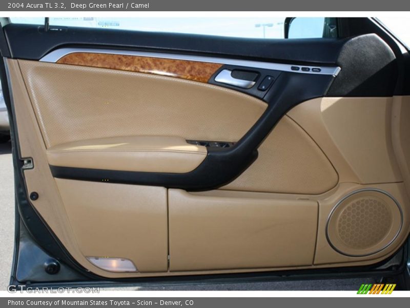 Door Panel of 2004 TL 3.2