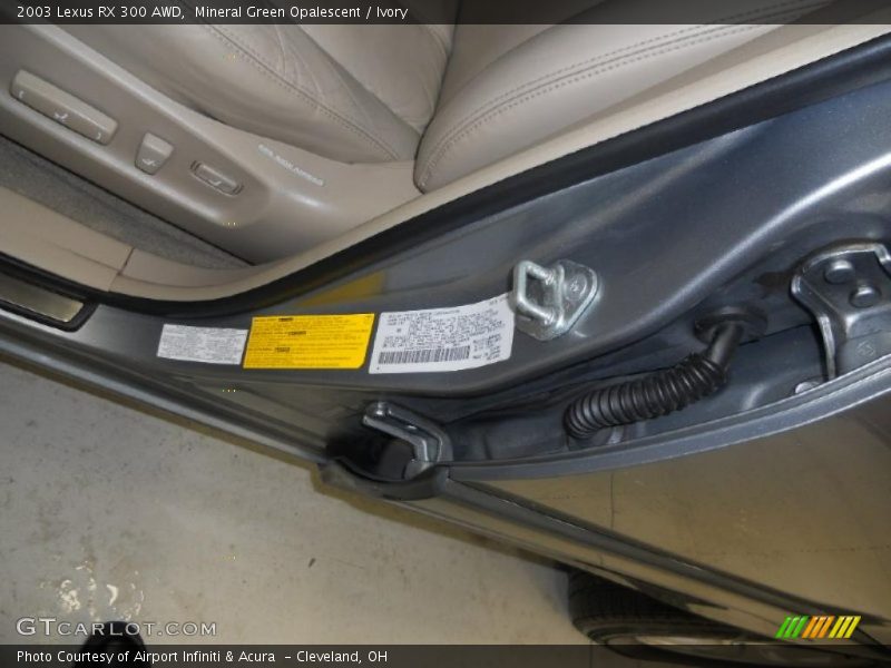 Mineral Green Opalescent / Ivory 2003 Lexus RX 300 AWD