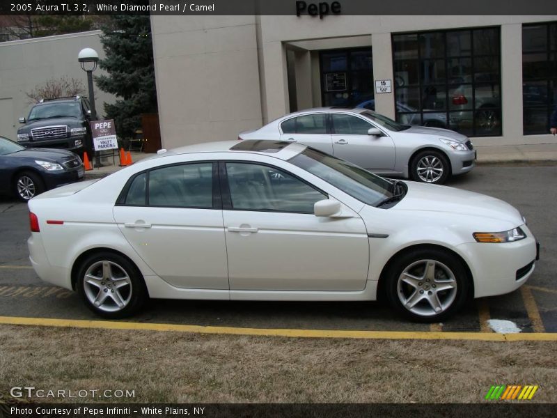 White Diamond Pearl / Camel 2005 Acura TL 3.2